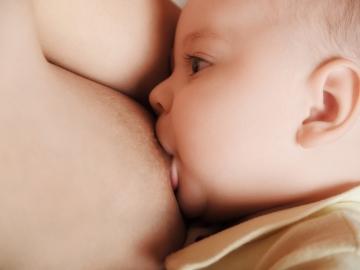 Niños amamantados: ¿son más inteligentes? Niños amamantados: ¿son más inteligentes?