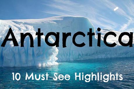 ▷ Comente sobre Best of Antarctica: 10 debe ver aspectos destacados de actividades de viajes inusuales pero agradables que debería considerar realizar