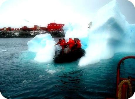 7 ▷ Comente sobre Best of Antarctica: 10 debe ver aspectos destacados de actividades de viajes inusuales pero agradables que debería considerar realizar