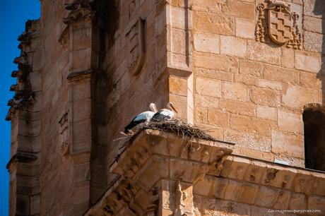 Torrelaguna, cuna del Cardenal Cisneros Torrelaguna, cuna del Cardenal Cisneros