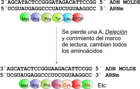 Blog con nuevo diseño e imagenes