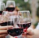 Por qué preferimos vinos blancos en verano