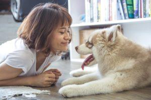 Las mascotas son parte de la familia