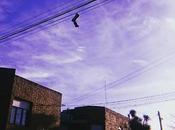 Zapatillas