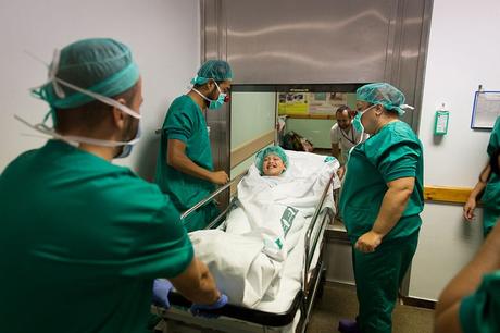 UN DIA DE NASSOS CON PALLAPUPAS UN DIA DE NASSOS CON PALLAPUPAS