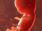 Alabama suma Estados U.S.A prohiben aborto