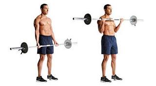 Los 5 mejores  ejercicios para bíceps - Ejercicios para brazos