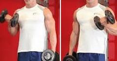 Los 5 mejores  ejercicios para bíceps - Ejercicios para brazos