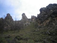 Los dedos de Pelegrina