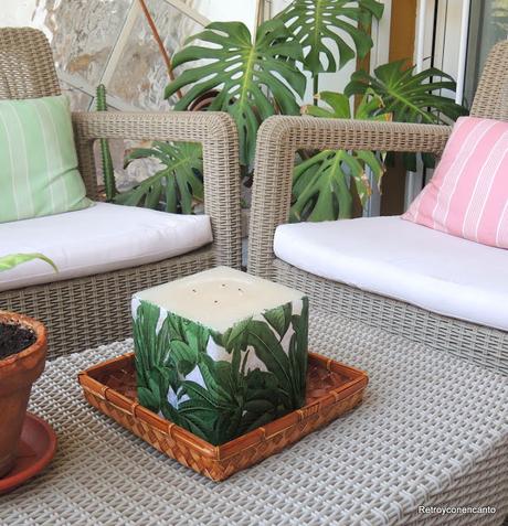 Vela selvática Vela selvática