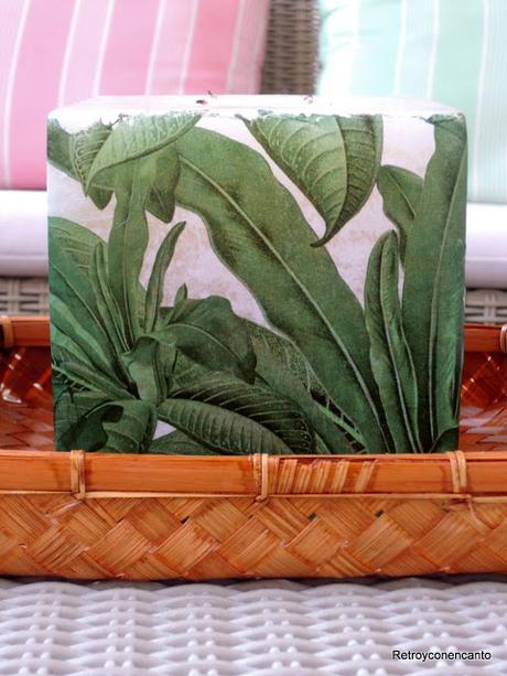 Vela selvática Vela selvática