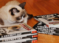 Estados Unidos: Muere a los siete años Grumpy Cat, la gata más famosa de Internet