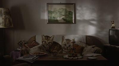 DocumentaMadrid 2019, Cobertura completa, Parte 1 DocumentaMadrid 2019, Cobertura completa, Parte 1