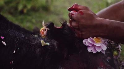 DocumentaMadrid 2019, Cobertura completa, Parte 1 DocumentaMadrid 2019, Cobertura completa, Parte 1