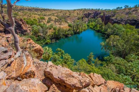 Boodjamulla-National-Park-191 ▷ Comente 18 caminatas cortas en Australia que amamos con 7 ideas divertidas para la familia por menos de $ 100 »Préstamos rápidos | ¡Es rápido con Quickle! Como se ve en la televisión