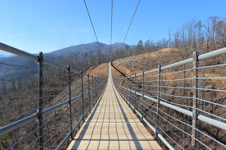 SkyBridge_Tennessee ▷ 6 puentes peatonales frescos que debes cruzar