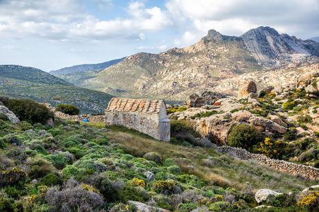 Naxos-Hike-in-April.jpg.optimal ▷ Cómo ir de excursión a Apano Kastro en Naxos, Grecia