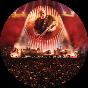 Video Viernes (III): David Gilmour 