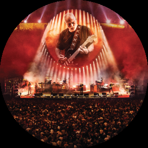 Video de los Viernes (III): David Gilmour Video Viernes (III): David Gilmour