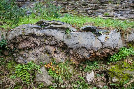 El fenómeno excepcional