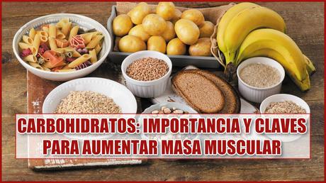 Carbohidratos: Importancia y claves para aumentar masa muscular