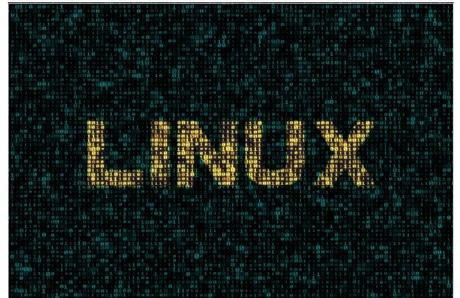 La importancia de elegir un hosting Linux
