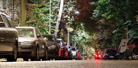 Las ciudades deben pensar en los árboles cómo infraestructura de Salud Pública