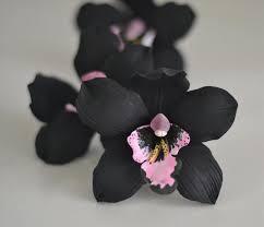 Crema orquídea negra de Galium cosmética integral