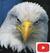 Nos volveremos a ver MIKE SALA EN YOUTUBE