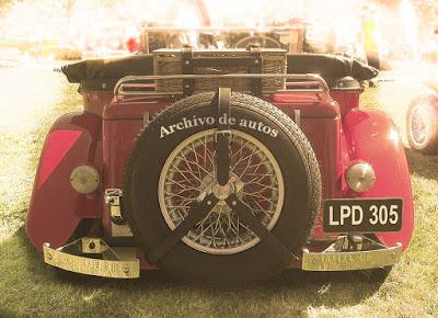 La Preguntita del Domingo 305