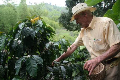 colombia-cafe ▷ Comente sobre 20 de los mejores lugares para visitar en América del Sur por Cómo planificar un viaje barato en este verano - Ozemle.net