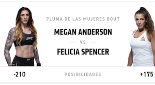 UFC  Fight Night 152 resultados