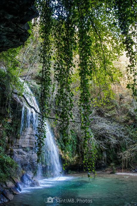 Cascada de hiedra