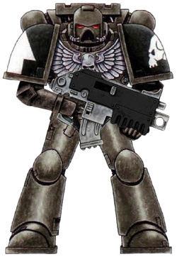 Despojadores, evolución del esquema y sus Primaris