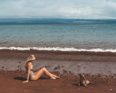 galapagos-2 ▷ La última guía de viajes ecológicos