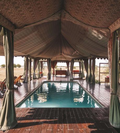 bots-2 ▷ La última guía de viajes ecológicos