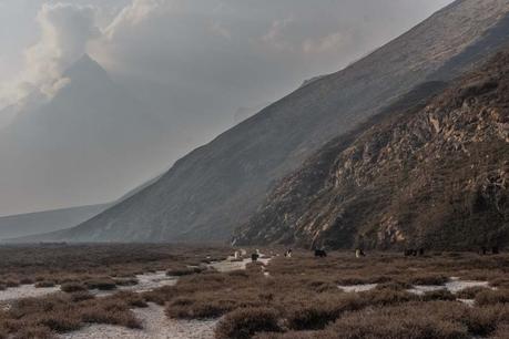 d543daab-0b37-460e-a45b-8b1e18bce0d0 ▷ 8 días recorriendo el valle de Langtang |Crónica de un trekking en el Himalaya ✅
