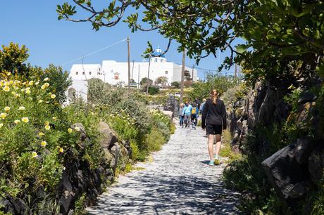 ▷ Cómo caminar de Fira a Oia, el paseo más hermoso en Santorini Walking-Path.jpg.optimal ▷ Cómo caminar de Fira a Oia, el paseo más hermoso en Santorini