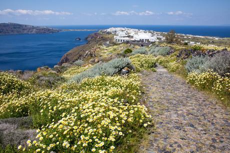 ▷ Cómo caminar de Fira a Oia, el paseo más hermoso en Santorini Oia-to-Fira-Trail.jpg.optimal ▷ Cómo caminar de Fira a Oia, el paseo más hermoso en Santorini