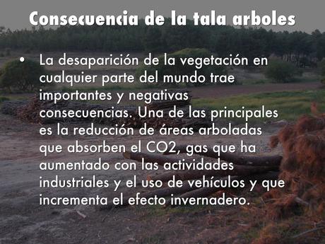 Resultado de imagen para imagenes de gases de efecto invernadero tala de arboles