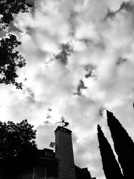 La imagen puede contener: nubes, cielo, Ã¡rbol, planta, exterior y naturaleza
