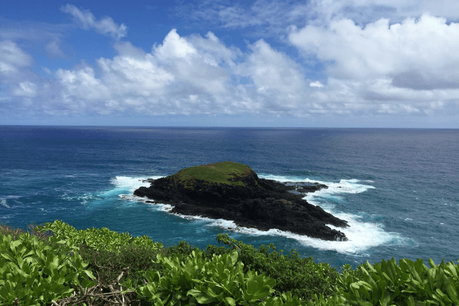 ultimate-things-to-do-kauai-11 ▷ Comentario sobre las 15 mejores cosas que hacer en Kauai, Hawai por Caz