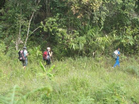 Cómo elegir un seguro de viaje Cómo elegir un seguro de viaje