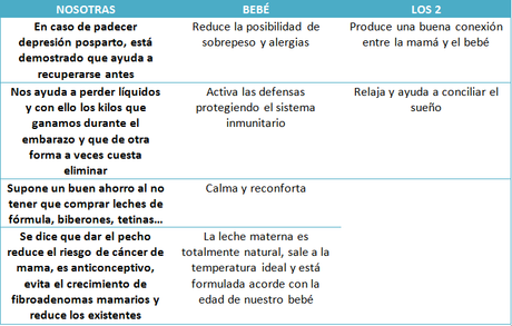 La Lactancia Materna