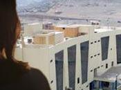 gobernadora llama “virginia” ricardo chavarría…