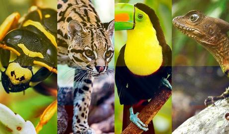 Dia de la biodiversidad