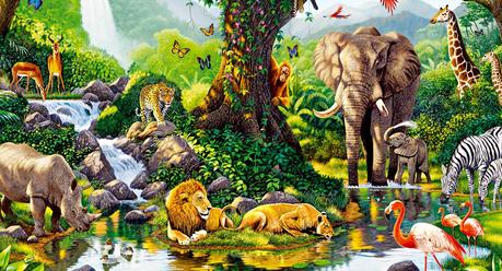 Dia de la biodiversidad