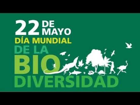 Dia de la biodiversidad