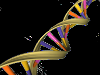 Vinculan Alteraciones raras del ADN con la Diabetes tipo 2