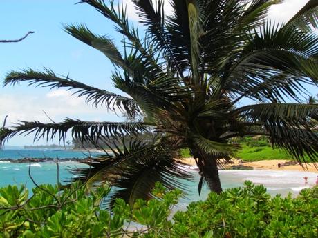 Playa de Wailea. Maui. Hawai